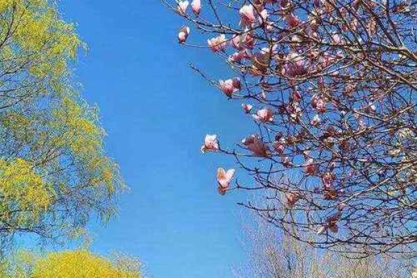 三月初八能动土吗