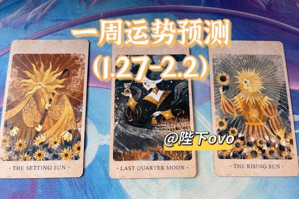 星运猫星座运势2023年最新运势解析与预测