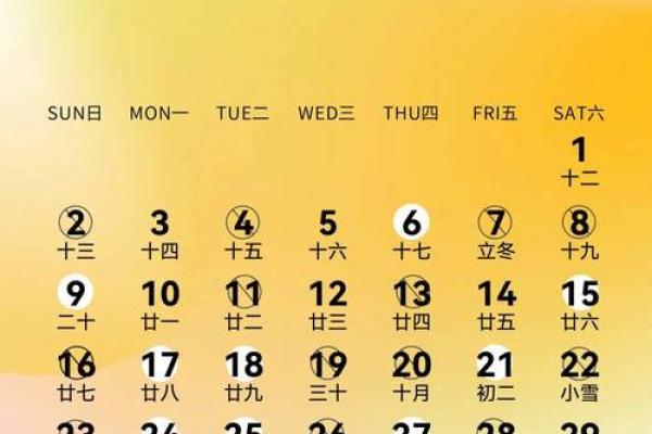 2025属虎结婚良辰吉日(2022年属虎结婚)