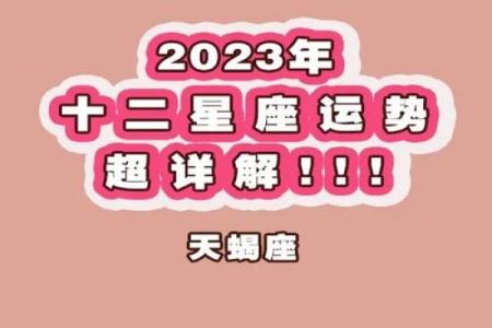 天蝎座运势星座屋_天蝎座2023年运势解析星座屋独家预测