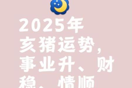 属猪男2025年的运势及运程_2025年属猪男运势详解全年运程大揭秘