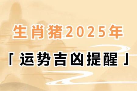 属猪2025年整体运势_2025年属猪人整体运势详解财运事业感情全解析