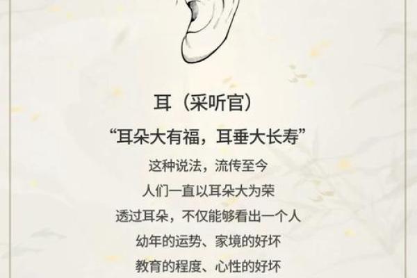 福德宫好的女人特点 福德宫好的女人特点命运与性格的完美结合