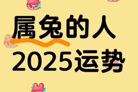 2025年属兔人年龄揭秘今年你多大了