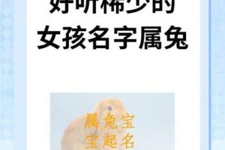 女孩属龙男孩属兔婚配好吗_属龙女孩与属兔男孩婚配缘分天定还是性格相克