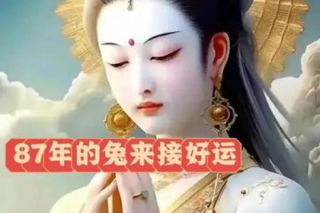 87年属兔的2025年运势_87年属兔的2025年财运如何