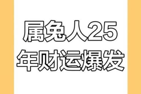 2025年属兔人年龄计算及运势解析_1739579287