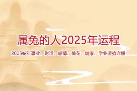 属兔的今年运势和财运怎么样_1975年属兔2025年财运如何