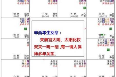 2025年2月15日子时女命紫微斗数全解盘