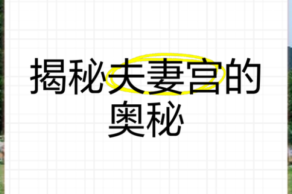凤阁入夫妻宫必离_凤阁入夫妻宫必离揭秘命理中的婚姻玄机