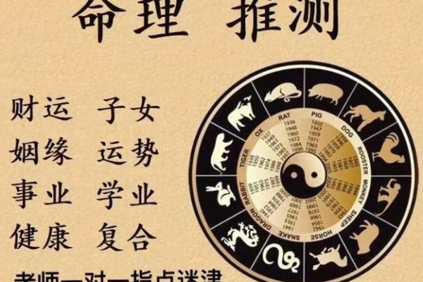 大耗在子女宫命理解析与运势影响