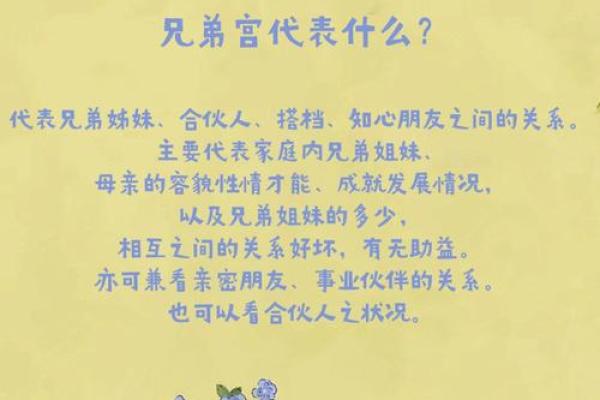 大德山人紫微斗数精成pdf 紫薇斗数 大德山人