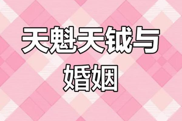 夫妻宫天魁 夫妻宫天魁旺
