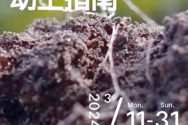 动土日子不好会怎样 动土日子不好会怎样