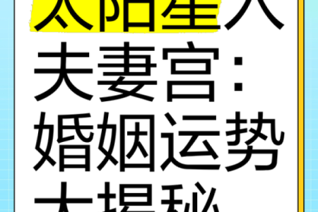 夫妻宫天同平 夫妻宫天同平解析婚姻运势与情感指南