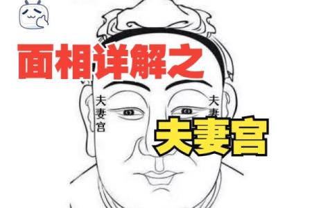 夫妻宫坐墓 夫妻宫坐墓解析婚姻运势与命理奥秘