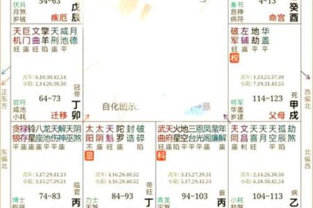 福德宫太阳化权 福德宫太阳化权巨门化禄