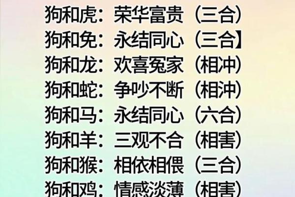 属狗的最佳配偶属相揭秘最配生肖组合 属狗的最佳配偶属相揭秘最配生肖组合