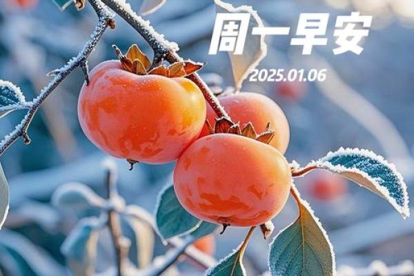 2025年4月25日农历是多少 2025年4月25日农历是多少