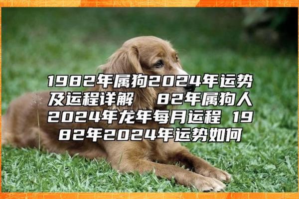 属狗今年运势2025年运势如何_94年属狗31岁有一劫 属狗今年运势2025年运势如何_94年属狗31岁有一劫