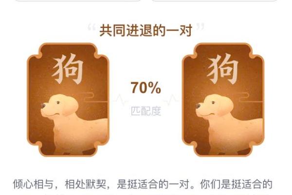 1970年属狗的最佳婚配_73年属牛的婚姻配对最佳 1970年属狗的最佳婚配_73年属牛的婚姻配对最佳