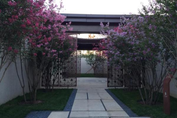 独杆紫薇庭院景观中的优雅之选