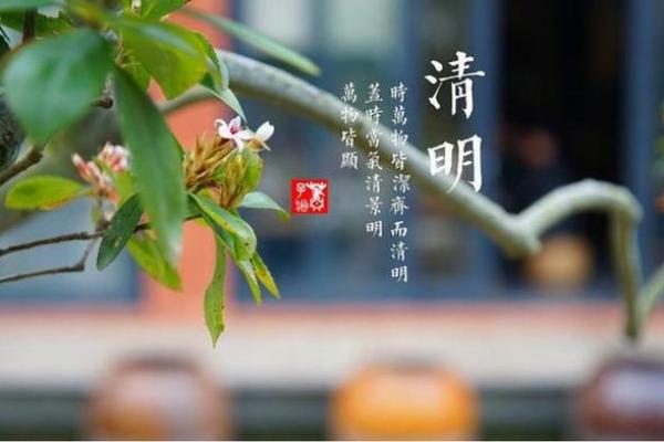 2025年4月4号清明节可以上坟吗(4号清明节能上坟吗) 2025年4月4号清明节可以上坟吗(4号清明节能上坟吗)