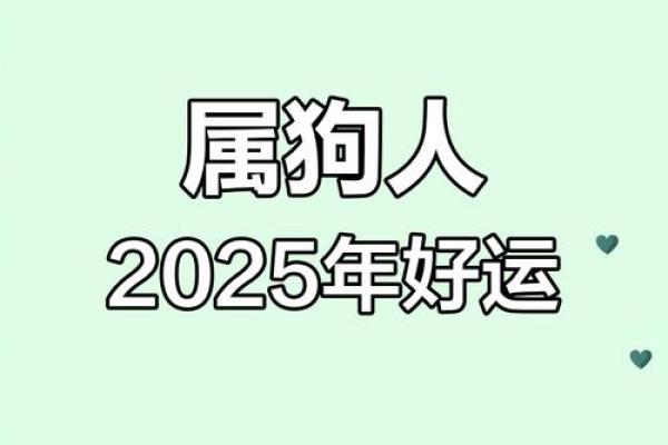 属狗男2025年全年的运势怎么样_2025年74属虎男全年运程 属狗男2025年全年的运势怎么样_2025年74属虎男全年运程