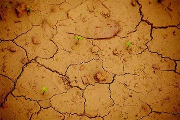 五月动土对谁不好