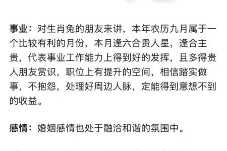 1987年生肖兔2025年运势_1987年生肖兔2025年运势大全