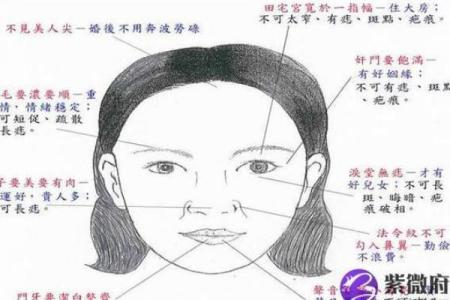 夫妻宫有化权的人有老公吗_夫妻宫有化权认识较