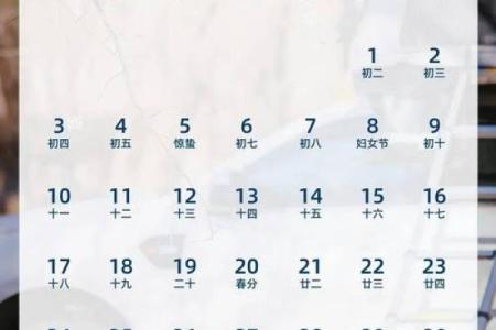 2025年2月15日丑时女命紫微斗数全解盘