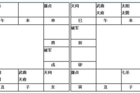 2025年3月14日子时男命紫微斗数全解盘