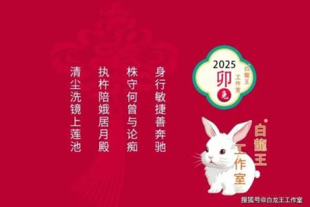 2025属兔幸运色 2025属兔幸运色揭秘提升运势的最佳选择