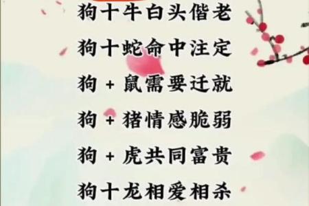1970年属狗的最佳配偶_1970年属狗的最佳配偶是什么属相