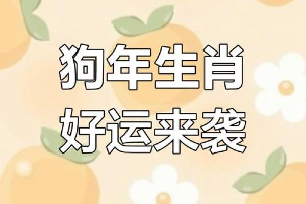 属狗2025年运势及运程每月运程狗_2025年属狗每月运势详解全年运程预测与吉凶分析 属狗2025年运势及运程每月运程狗_2025年属狗每月运势详解全年运程预测与吉凶分析