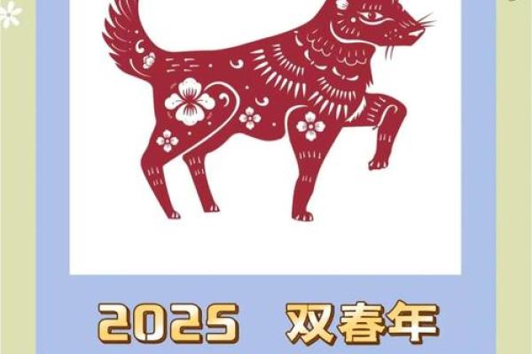 2025属狗每月运势运程详解 2025属狗全年运势 2025属狗每月运势运程详解 2025属狗全年运势