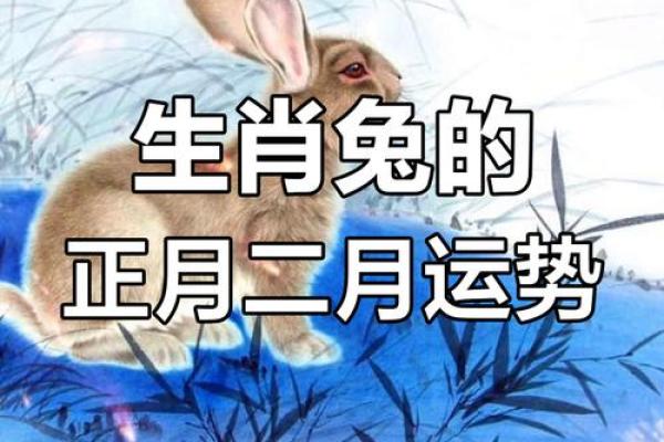 2015年属兔人的全年运势 2015年属兔人的全年运势详解 2015年属兔人的全年运势 2015年属兔人的全年运势详解