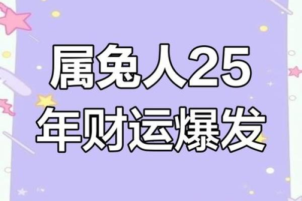 属兔2025年财运 1975属兔2025年财运 属兔2025年财运 1975属兔2025年财运