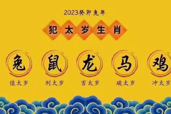 2011年属兔今年多大2023年年龄计算与运势解析 2011年属兔今年多大2023年年龄计算与运势解析