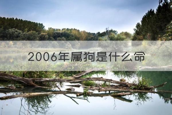 2006年属狗几点出生最好命_2006年属狗几点出生最好命男 2006年属狗几点出生最好命_2006年属狗几点出生最好命男