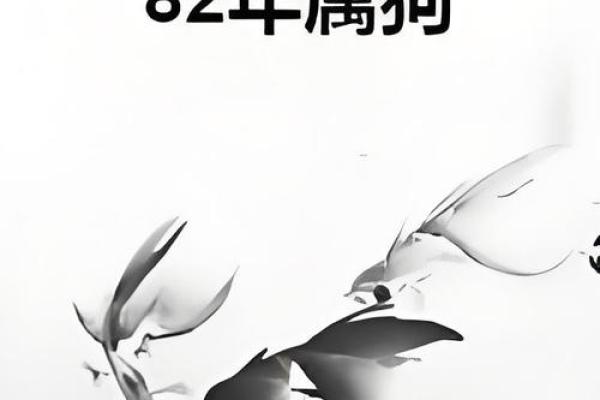 1982年属狗2025年的运势及运程_1982年的狗在2025年怎么样 1982年属狗2025年的运势及运程_1982年的狗在2025年怎么样