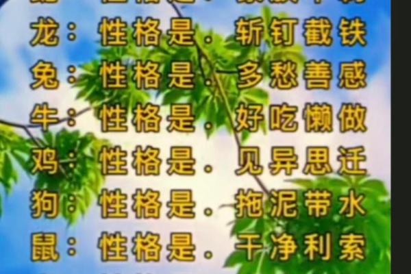 见财起意是什么动物生肖