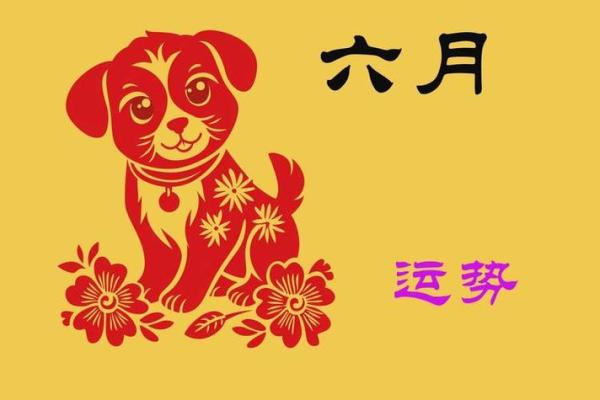 1982年属狗女2025年每月运势及运程详解 1994年狗女2025年运势及运程 1982年属狗女2025年每月运势及运程详解 1994年狗女2025年运势及运程