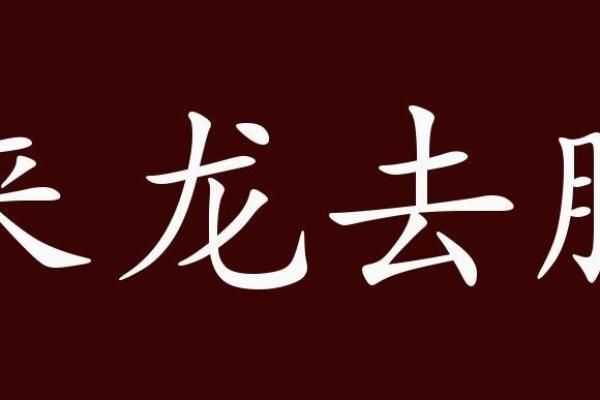 来龙去脉是什么生肖