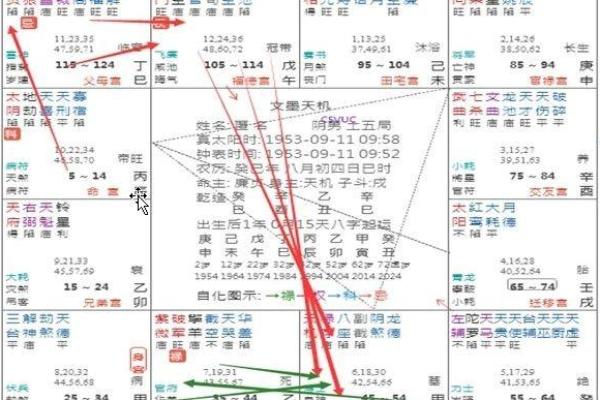 飞星紫微斗数全书_紫微斗数飞星详解