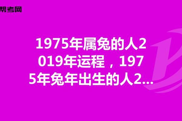 87年属兔的2026年运势怎么样 87年2026大运十年