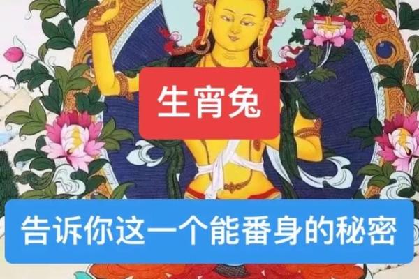 属兔的2021年搬家(2021年属兔的适合搬家的日子)