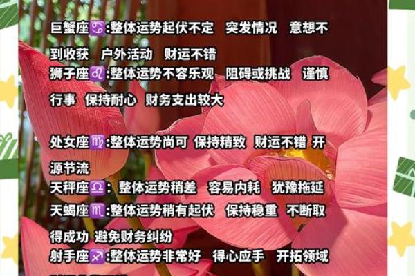 今日星座运势查询_今日星座运势查询12星座每日运势解析与好运指南 今日星座运势查询_今日星座运势查询12星座每日运势解析与好运指南