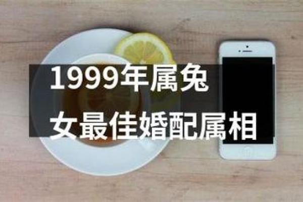1999年属兔最佳添子女时机解析